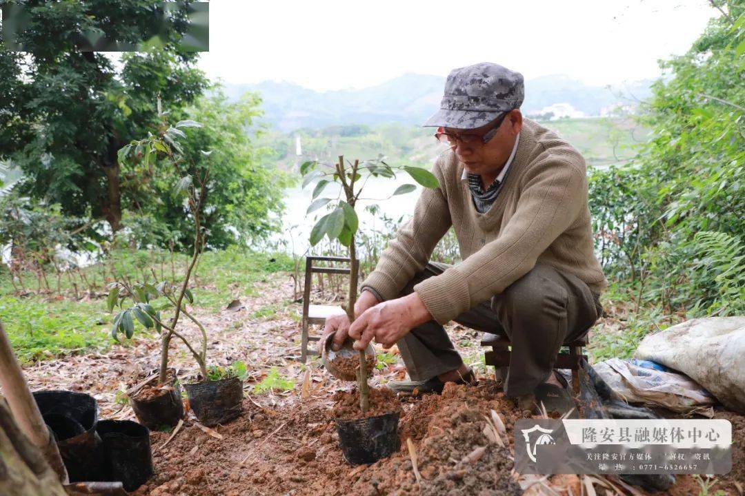 【千名记者一线行】余老汉念活脱贫"致富经"_荔枝