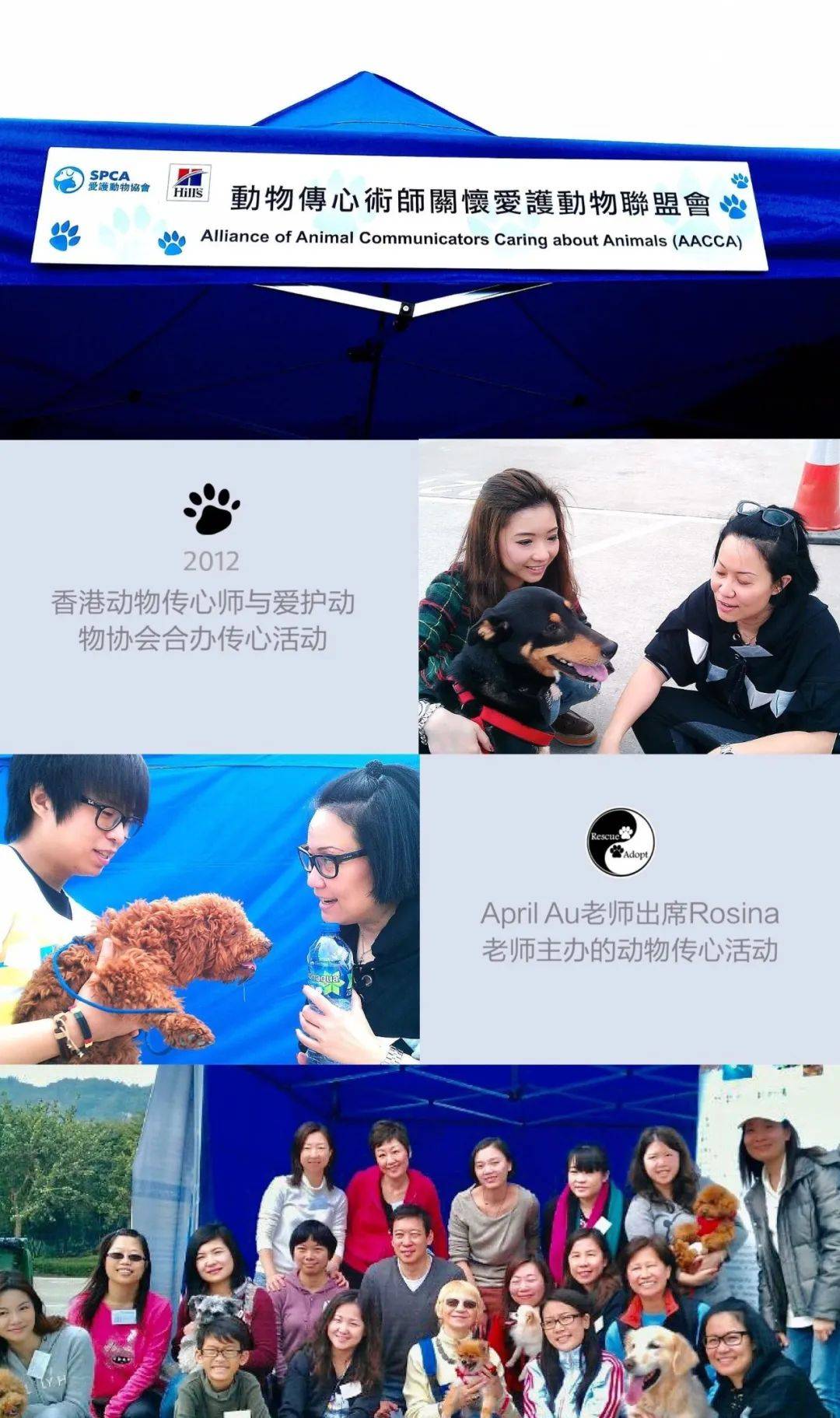 aprilau动物传心师聆听动物心理需要的人