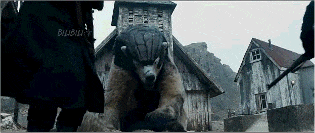 北极熊熊族中的白马王子一袭白袍不光帅气还是太阳能转换器