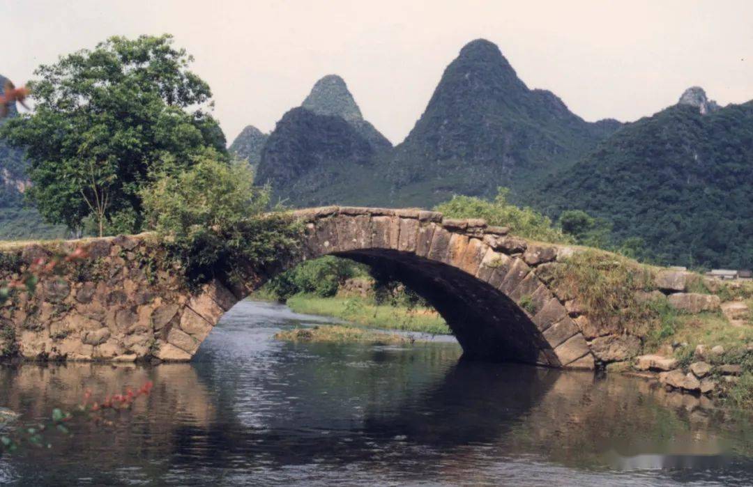 阳朔仙桂桥图片