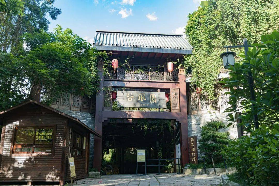 都是可以免费游览的哦 如果你觉得不尽兴 还可以的甘坑里的 凤凰谷,黄