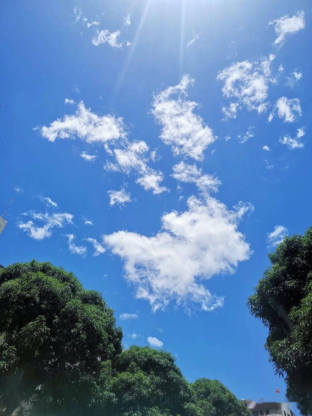 或停驻那些变幻莫测的云朵是一望无际的蓝仰望天空就是一