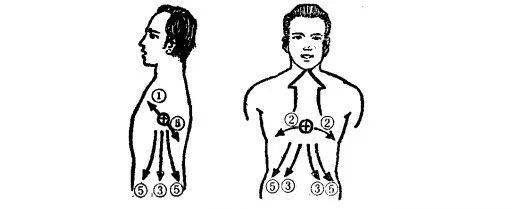 在唱歌发声时,人体对气息的感觉部位有胸部,肋部,腰部,腹部和后锯肌