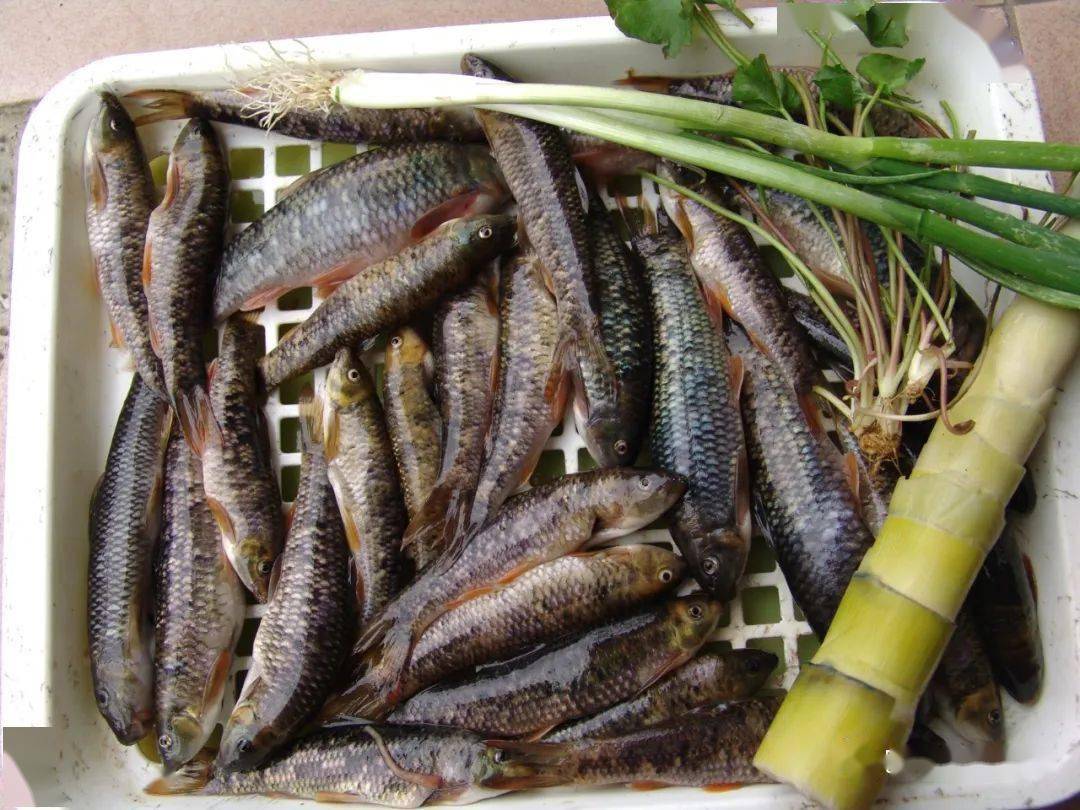 带你感受舌尖上的巴马!