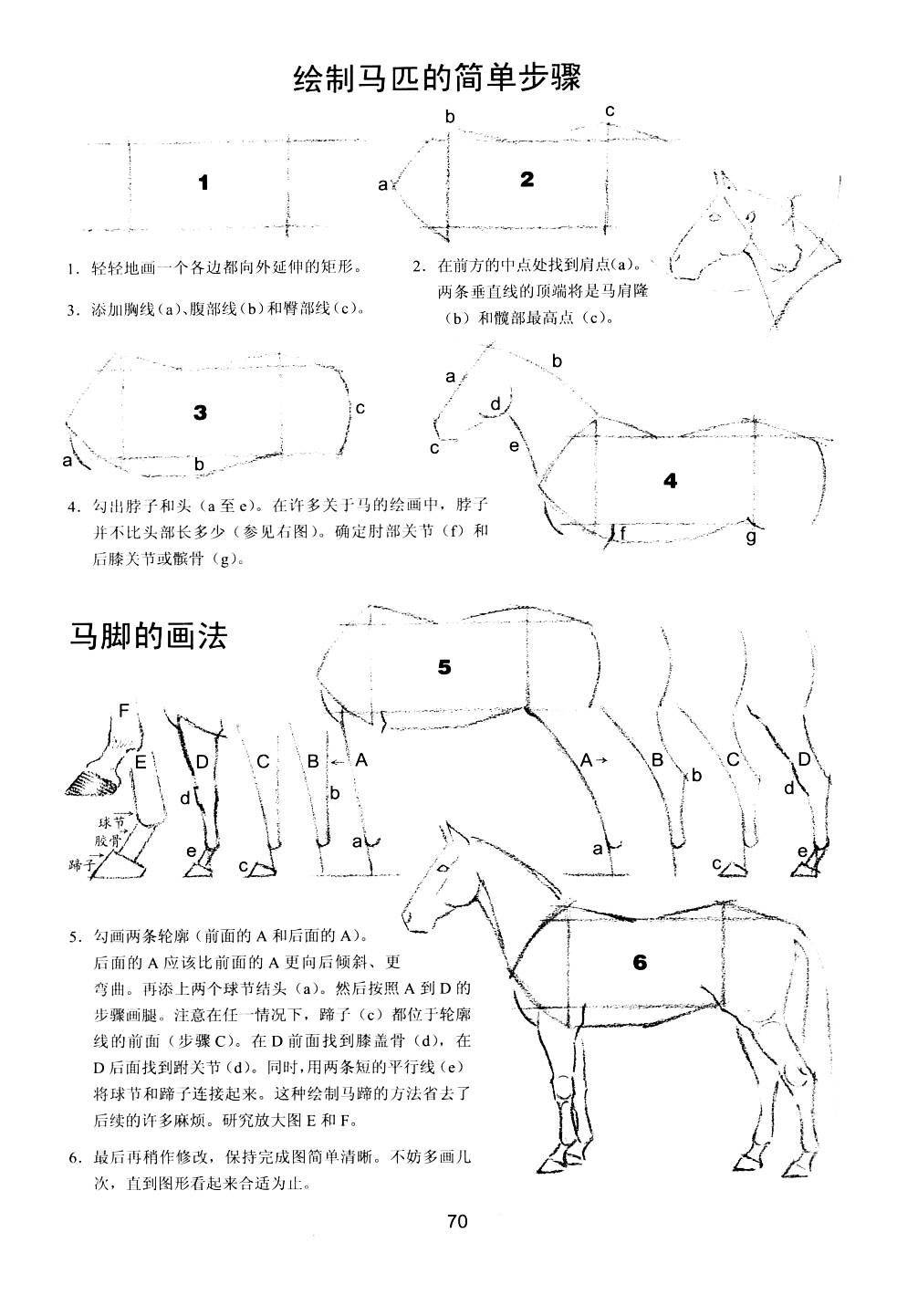 世界绘画经典教程：动物素描-搜狐大视野-搜狐新闻