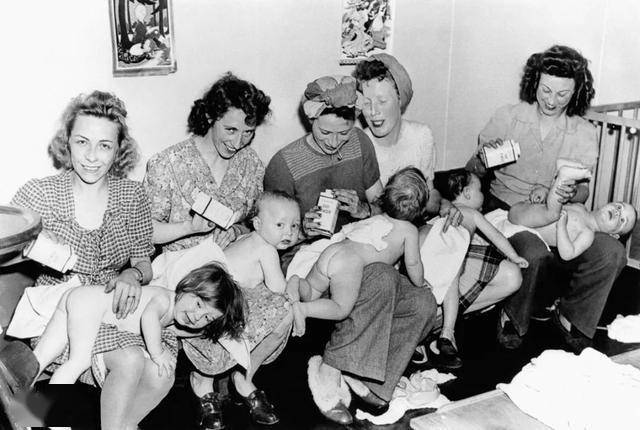 最毛骨悚然的动物实验在人造天堂里鼠群560天后便走向灭亡