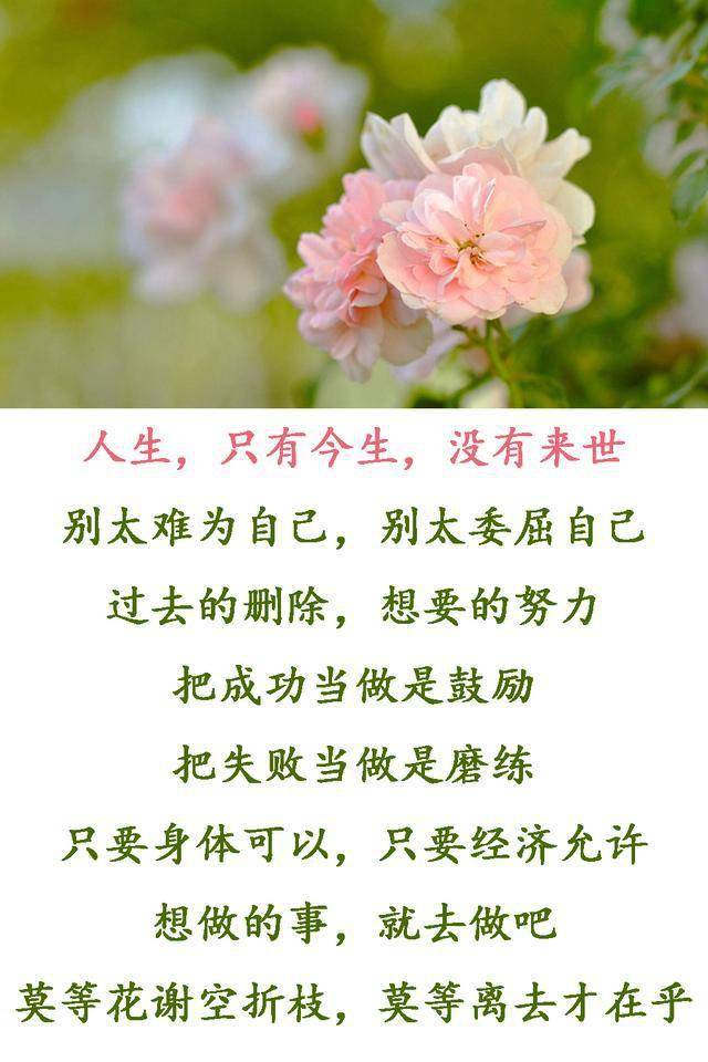 人生,只有今生,没有来世,好好珍惜这一世_感情