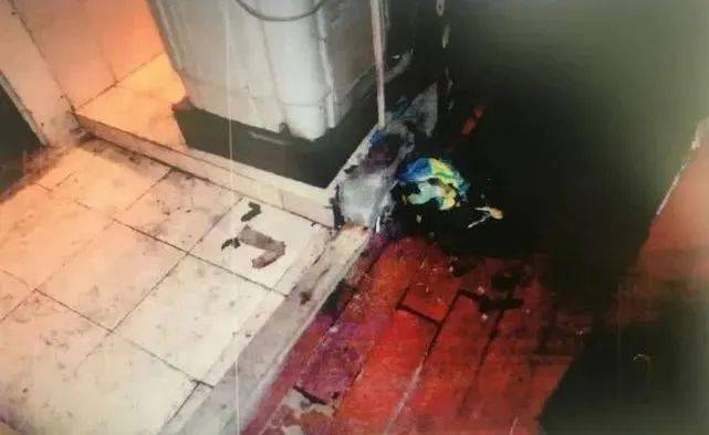 案例大好前程毁于一时冲动这个教训实在太深刻了