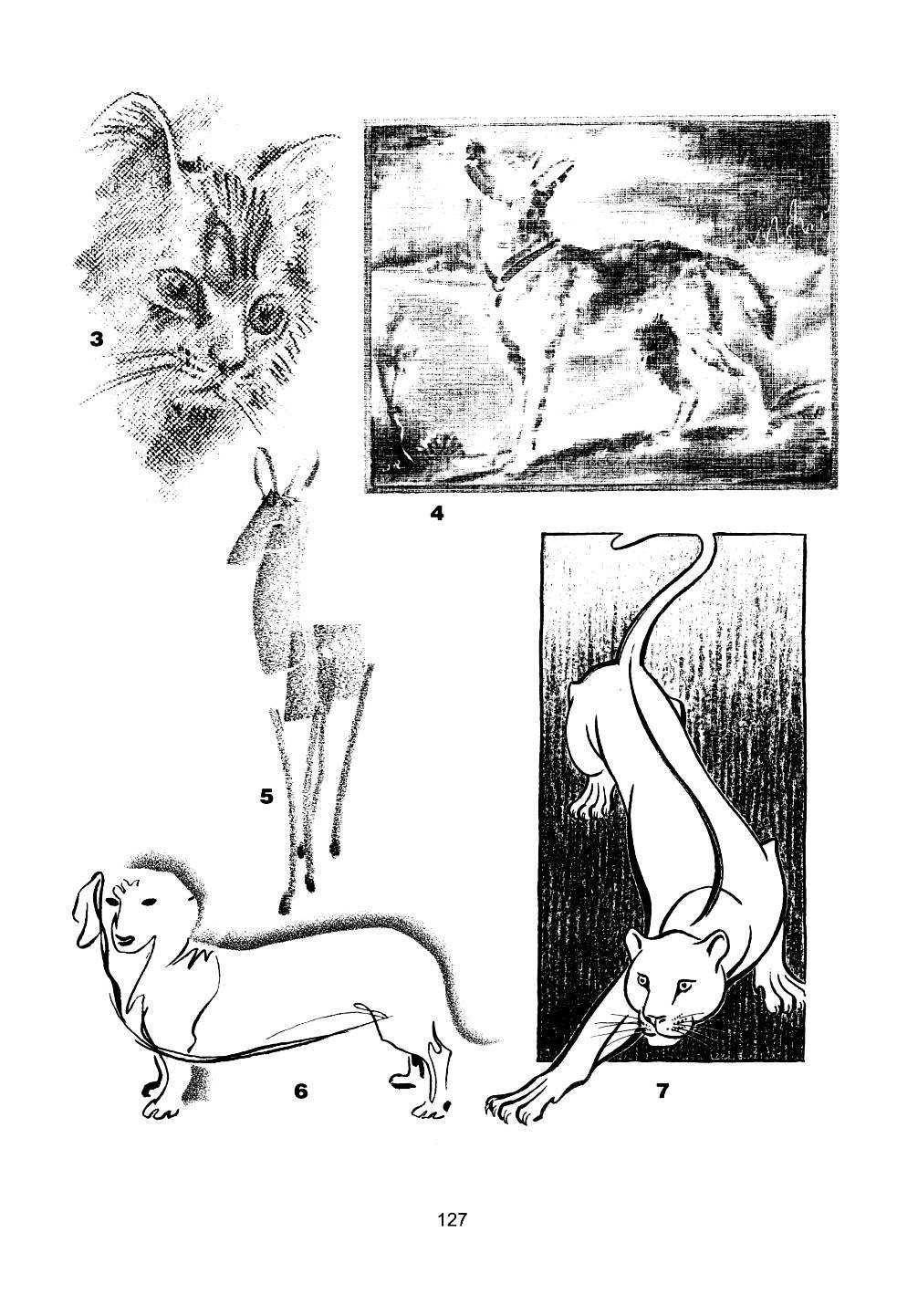 世界绘画经典教程：动物素描-搜狐大视野-搜狐新闻