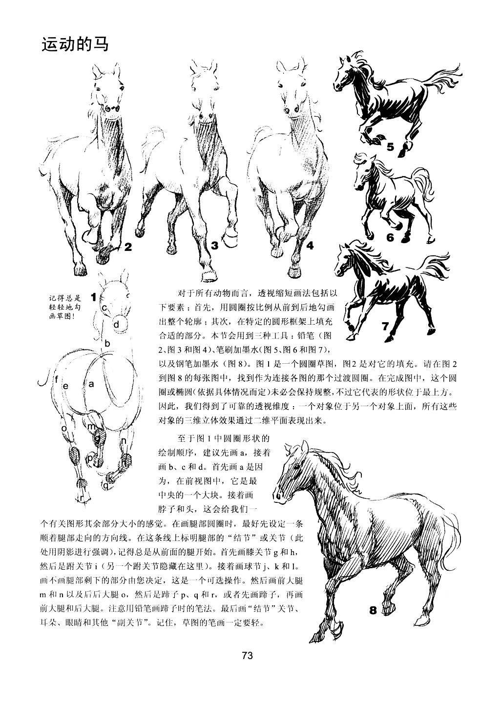 世界绘画经典教程：动物素描-搜狐大视野-搜狐新闻