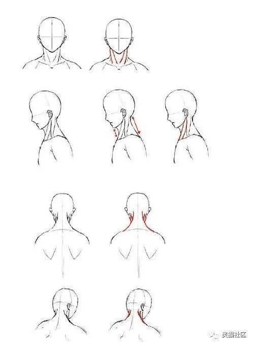 女性脖子画法图片