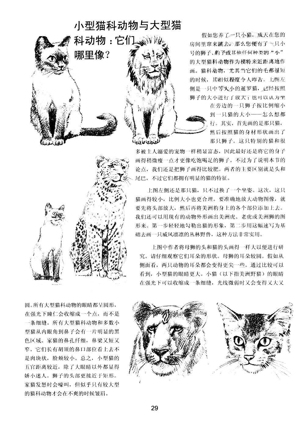 世界绘画经典教程：动物素描-搜狐大视野-搜狐新闻