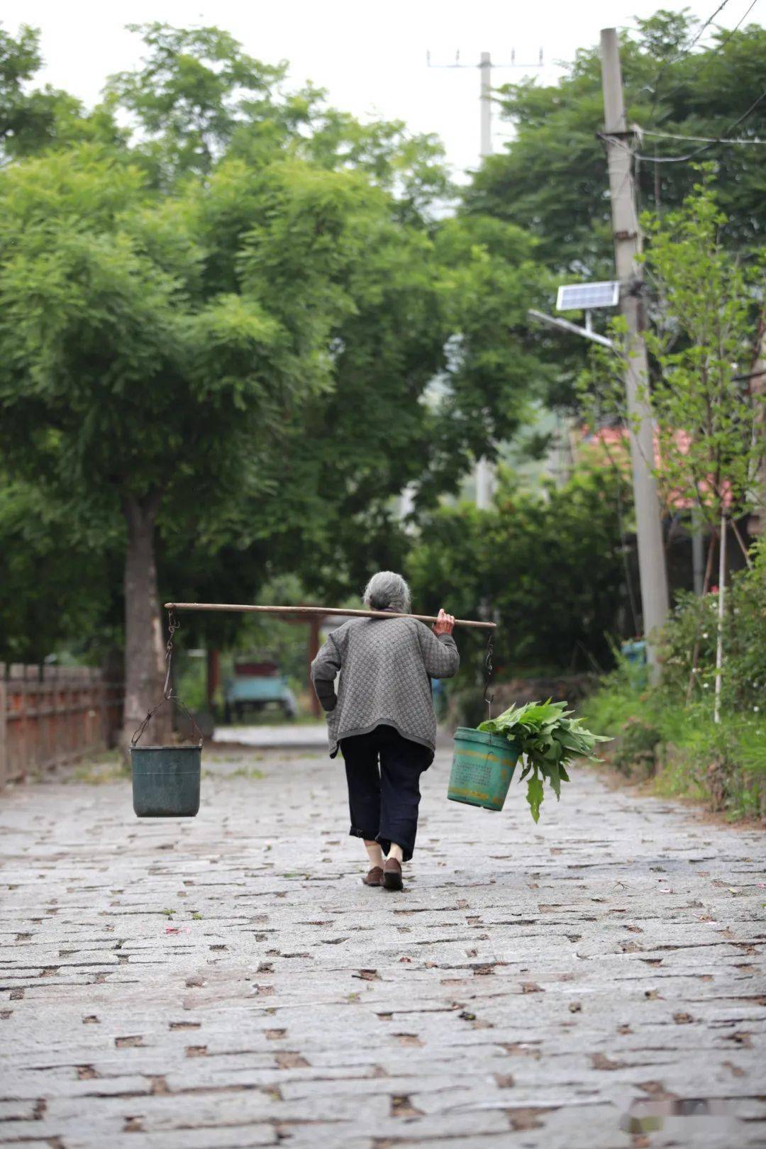 五莲巷子里这些身影哪个最打动你