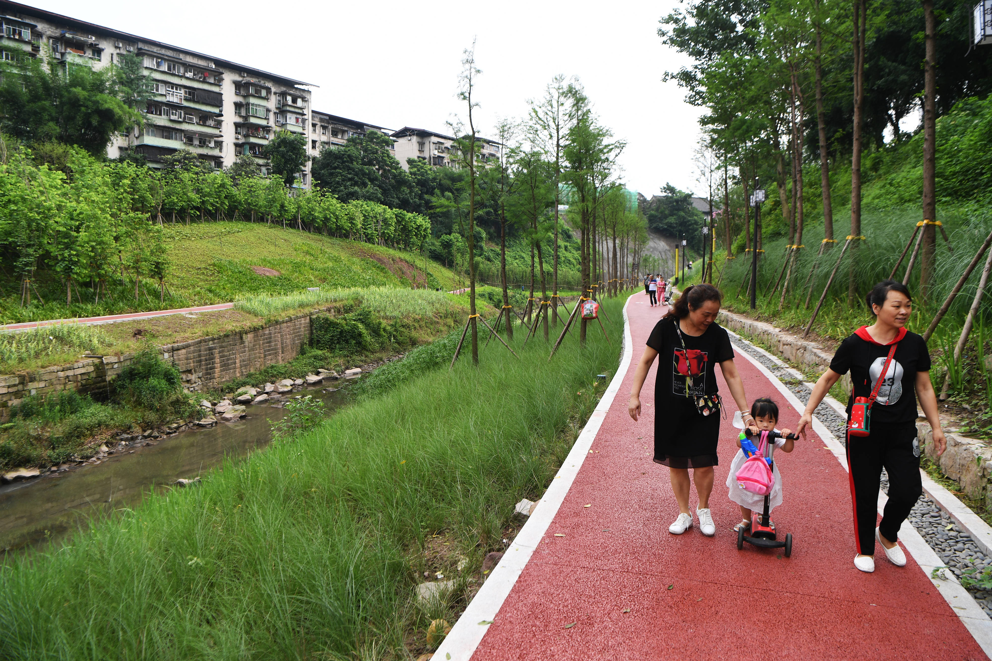 沙坪坝清水溪湿地公园图片