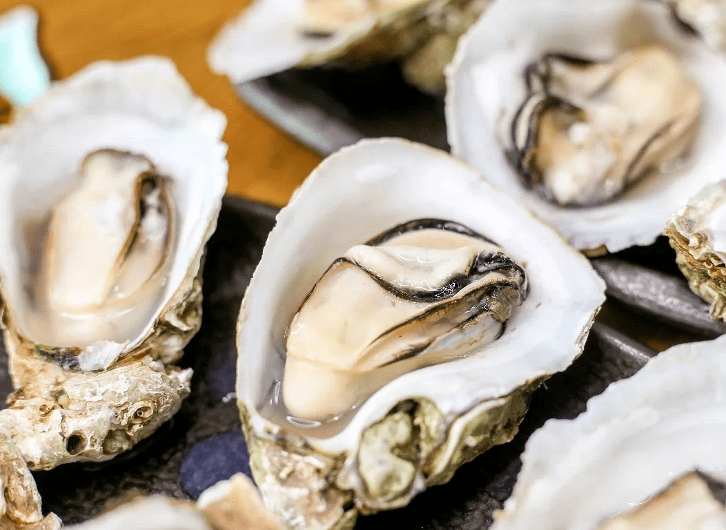 鱼 蚝!阳江再增两个省级农业产业园!_建设