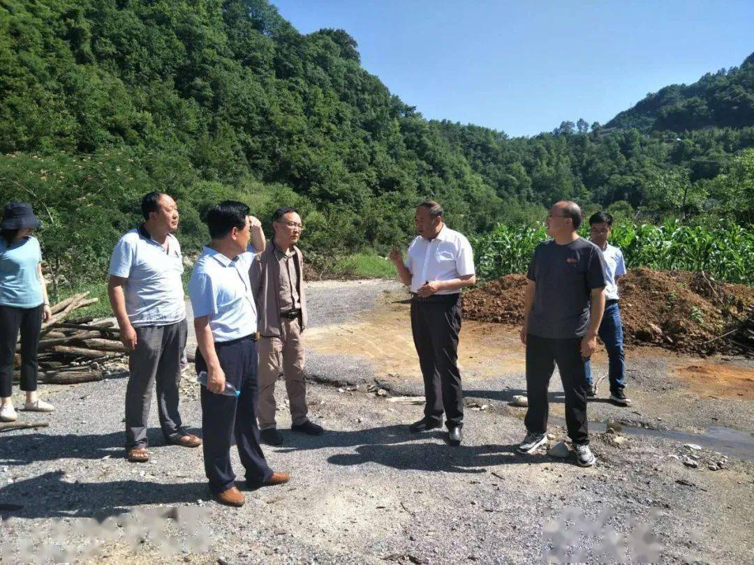 省扶贫办副主任陈宏利陇南市副市长张宏到白杨镇调研