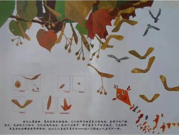 实验幼儿园读书系列活动二小喇叭栏目一粒种子的旅行