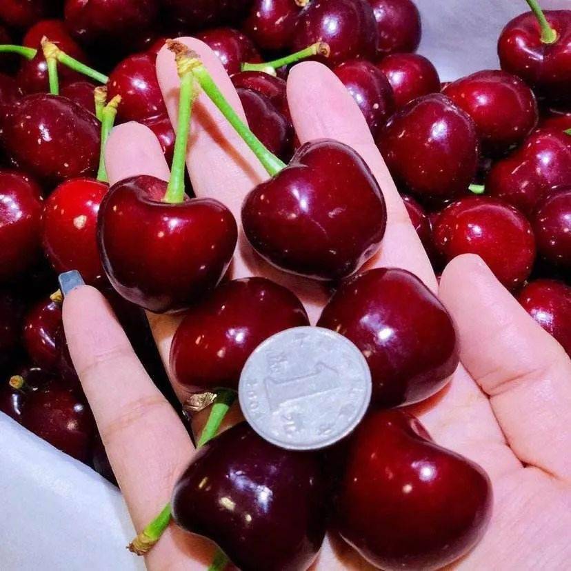 端午节送福利海尔家电节即将启幕关注直播间认筹秒杀惊
