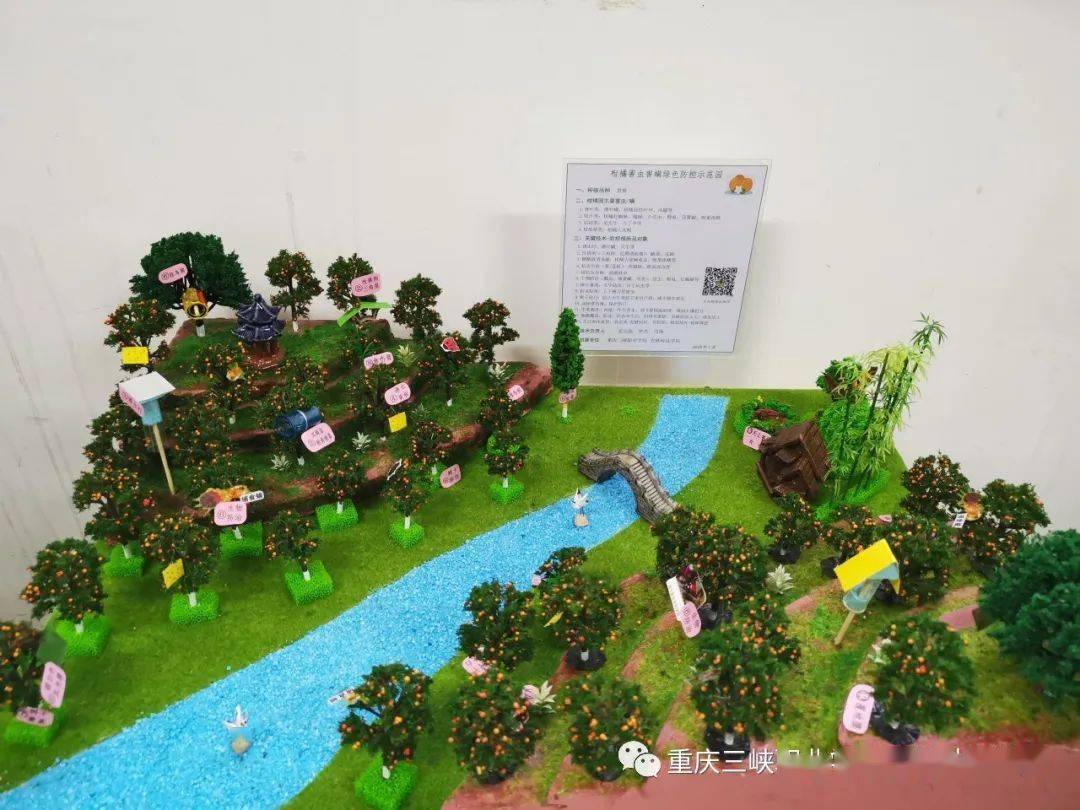 学生作品赏析果园园林害虫害螨绿色防控示范园模型