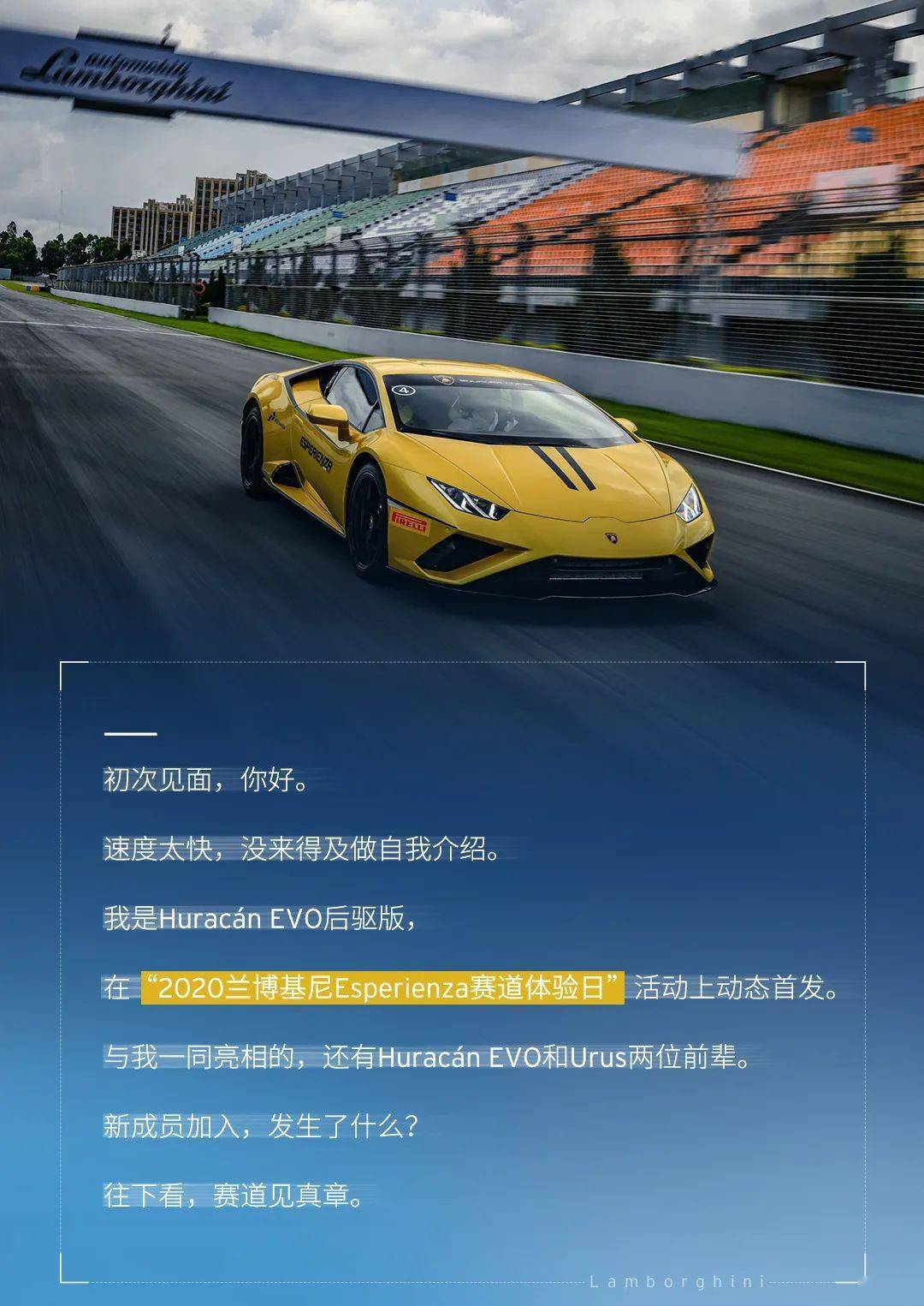 新来的道上见