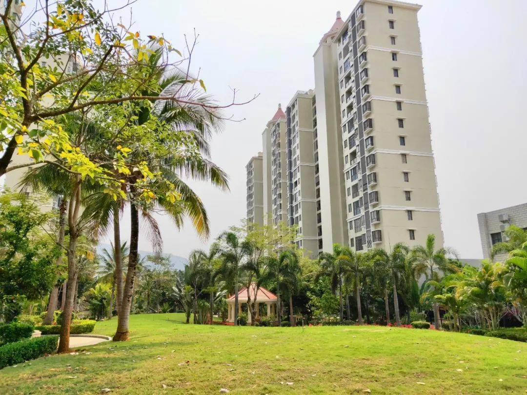 一语中的在海南买的真不是房