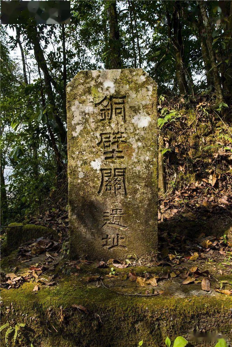 盈江铜壁关自然保护区图片