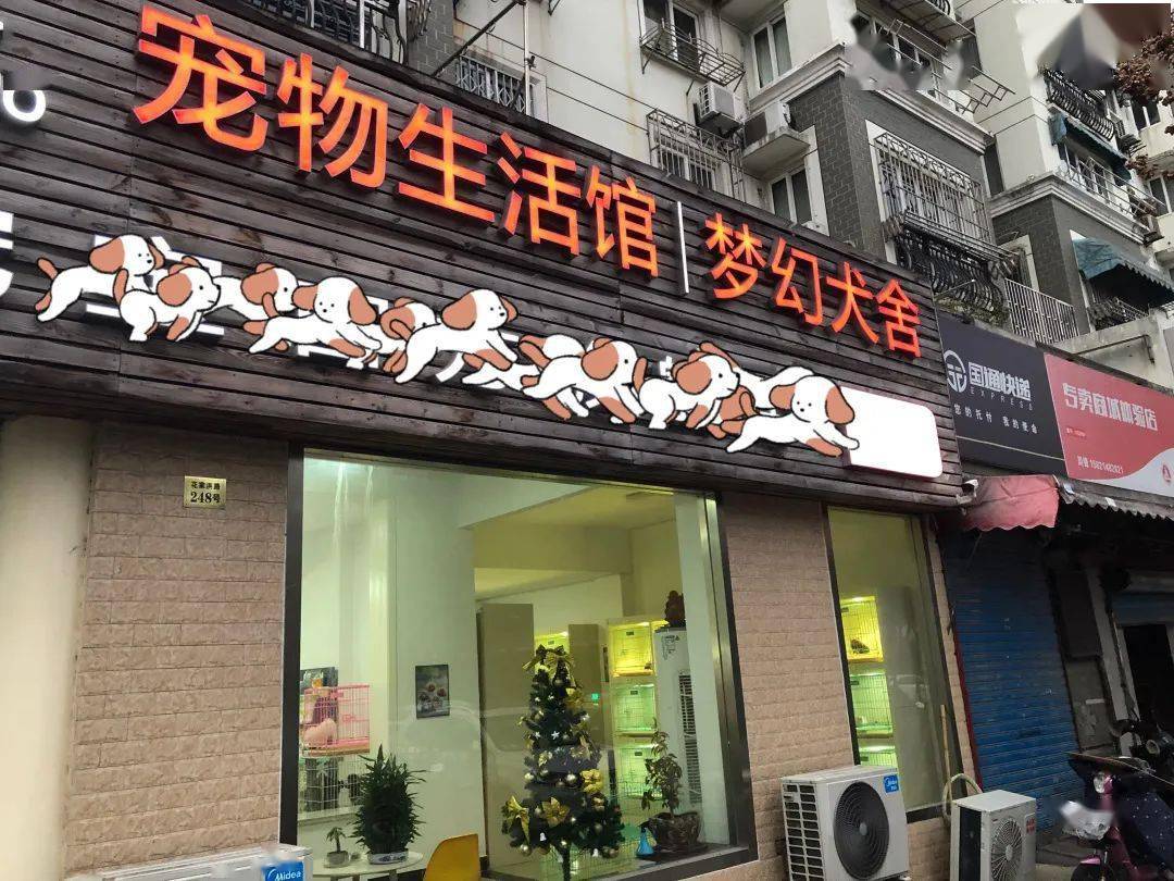 宠物店营业执照活体图片