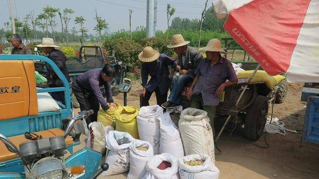 农村大爷卖小麦商贩刚打开收音机大爷怒了还想骗我