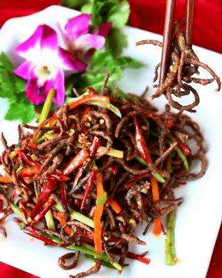 突发顺德出现一批怪人电蚯蚓拿回家炒菜吃