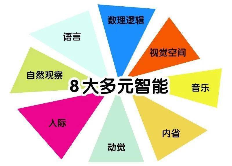 培训回顾丨多元智能天生我材必有用