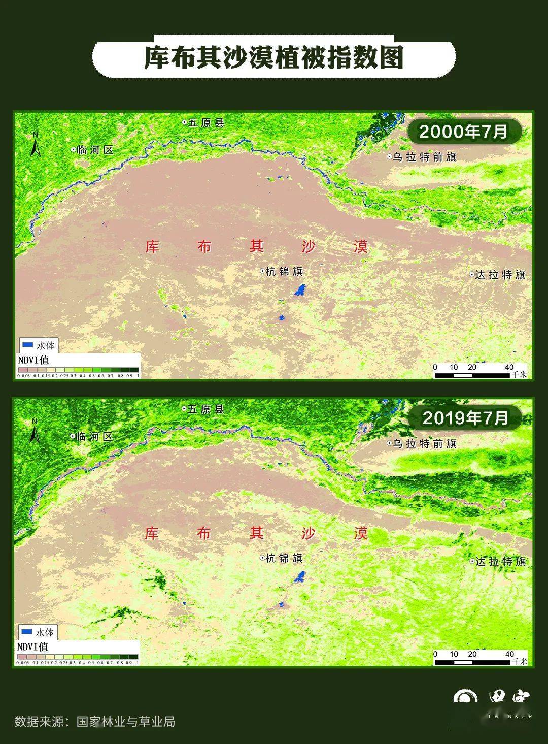 衛星告訴你,中國人種樹有多牛