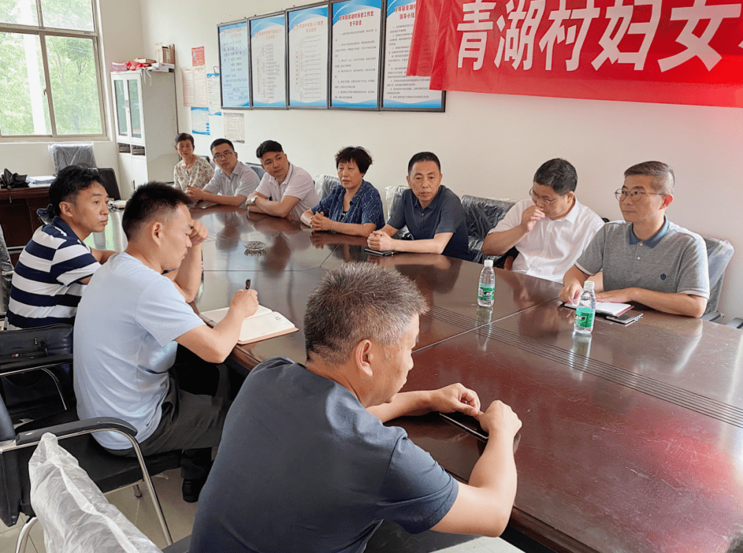 南昌水投公司副总经理胡劲松一行前往万埠镇青湖村开展挂点帮创平安村