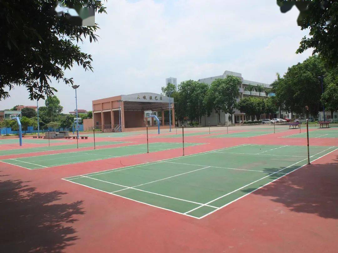 图说顺德|乐从大墩村