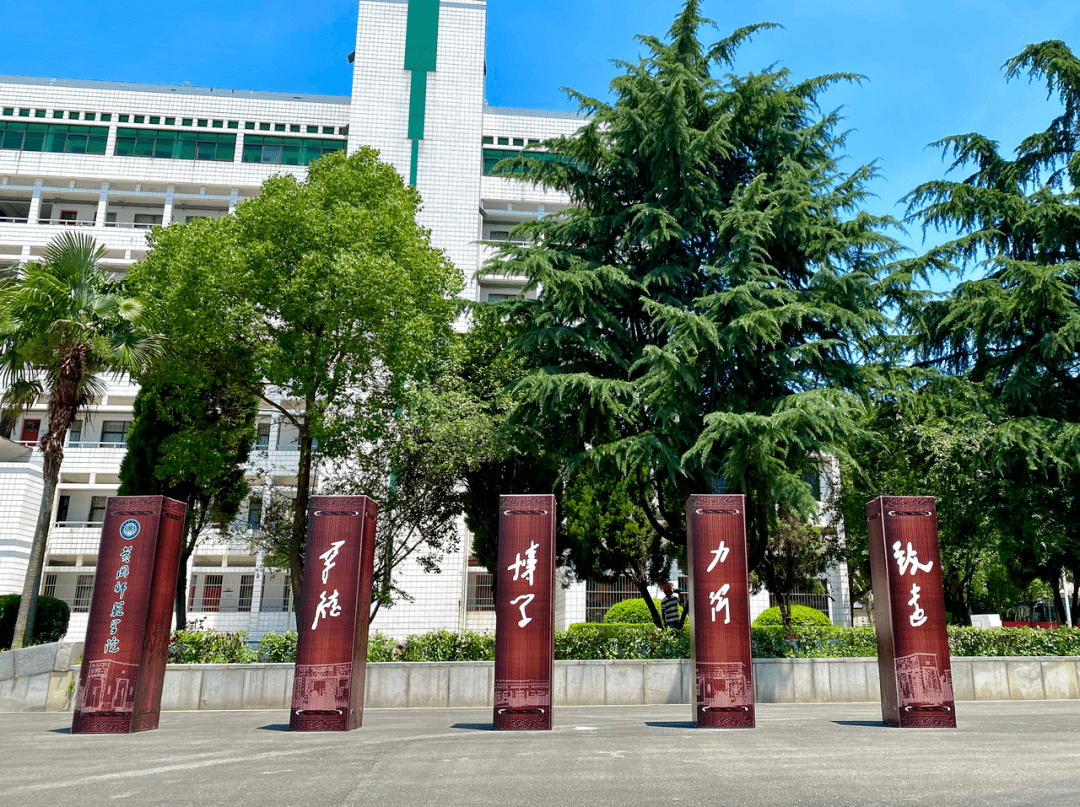 夏至夏天如约而至遇见最美时光