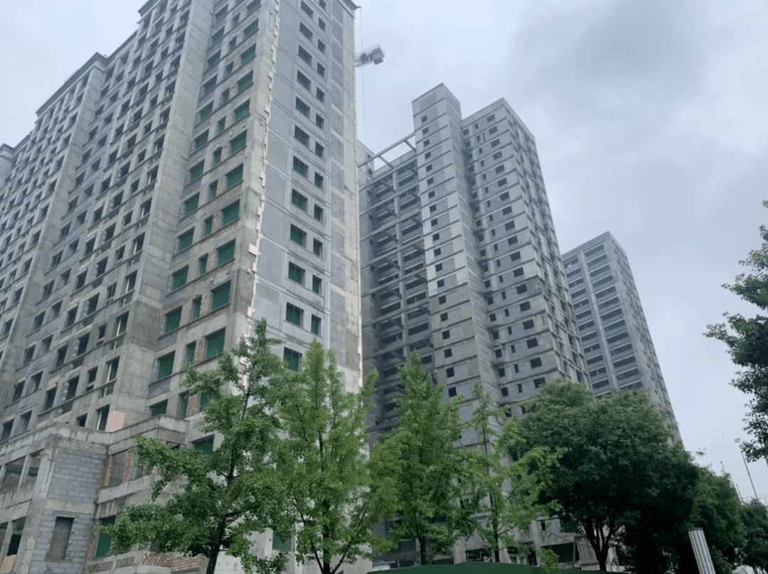 紫薇花园洲/世园悦府建设进展快报 | 追踪05期