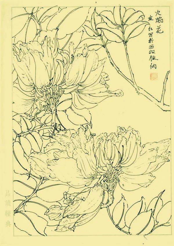 张友红 火焰花创作心得:从不知所措,迷惘,到不断进步有所收获,离不开