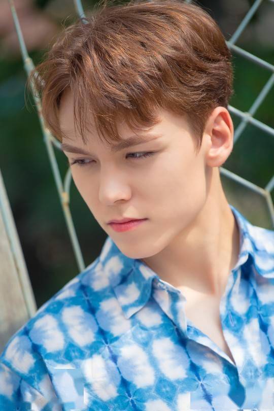 "100%清凉美"seventeen夏日画报写真公开!_app