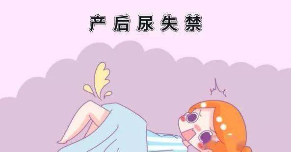 产后尿失禁是盆底肌出了问题