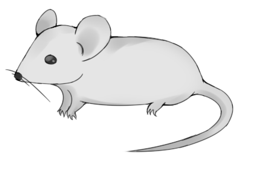 ps科研绘图肝癌小鼠肿瘤免疫5