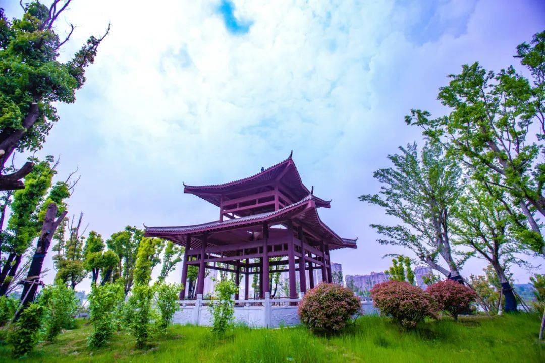 阜南占地540亩的富陂公园正式开放._阜南县