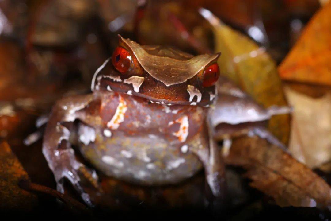 暑假亲子营02南岭之美