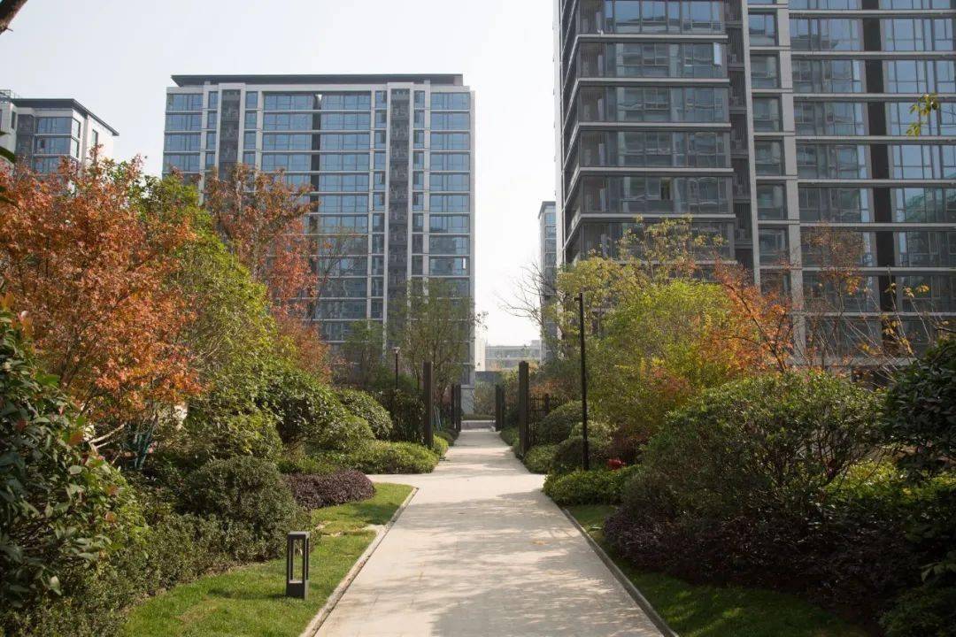 在杭州又见公园1872匠星之作