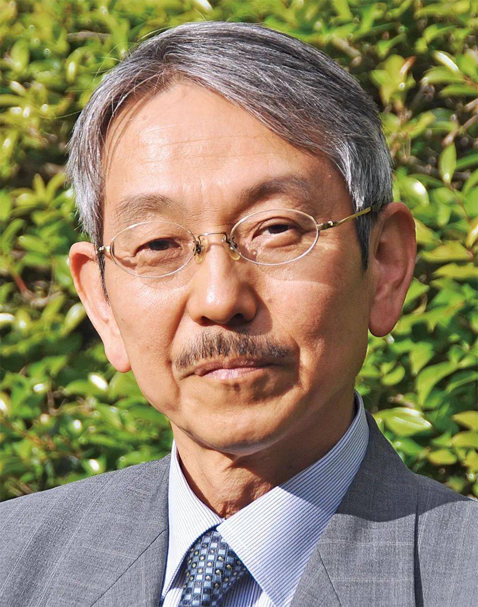 大久保纯一,日本美术史家