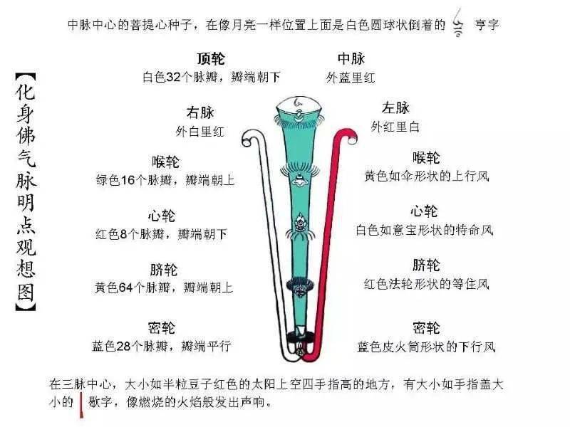 我打通中脉七轮全过程图片