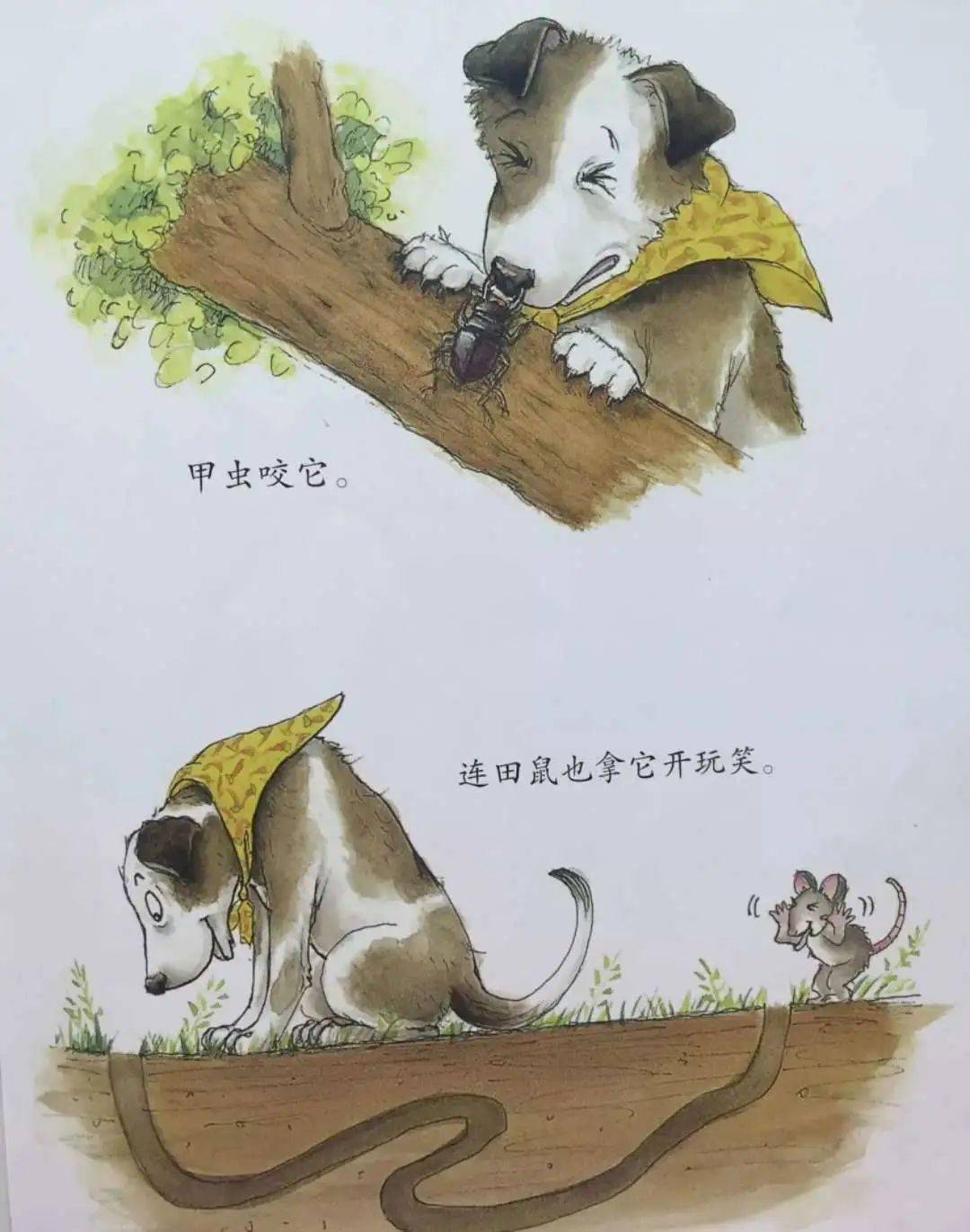 实幼好声音像狼一样嚎叫