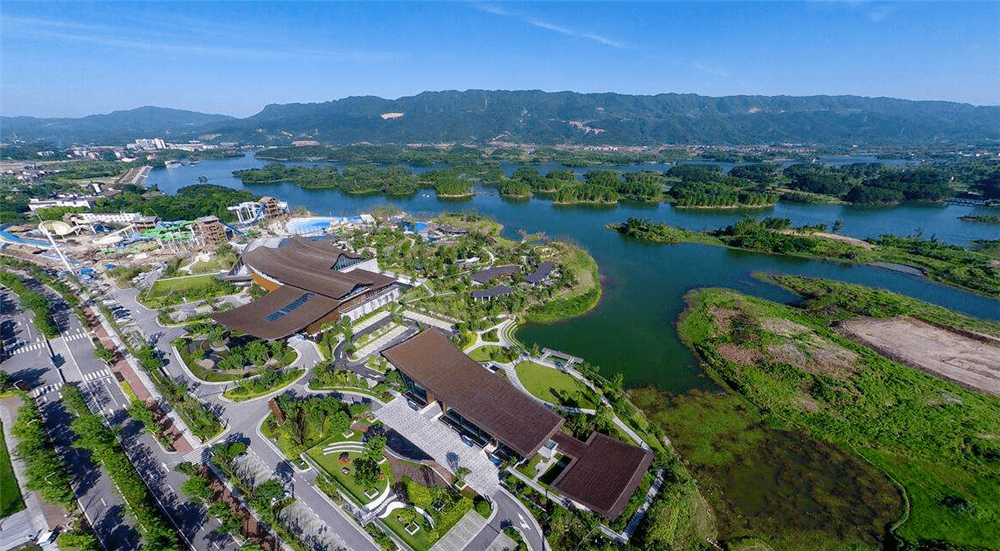 大足丁家坡洋芋