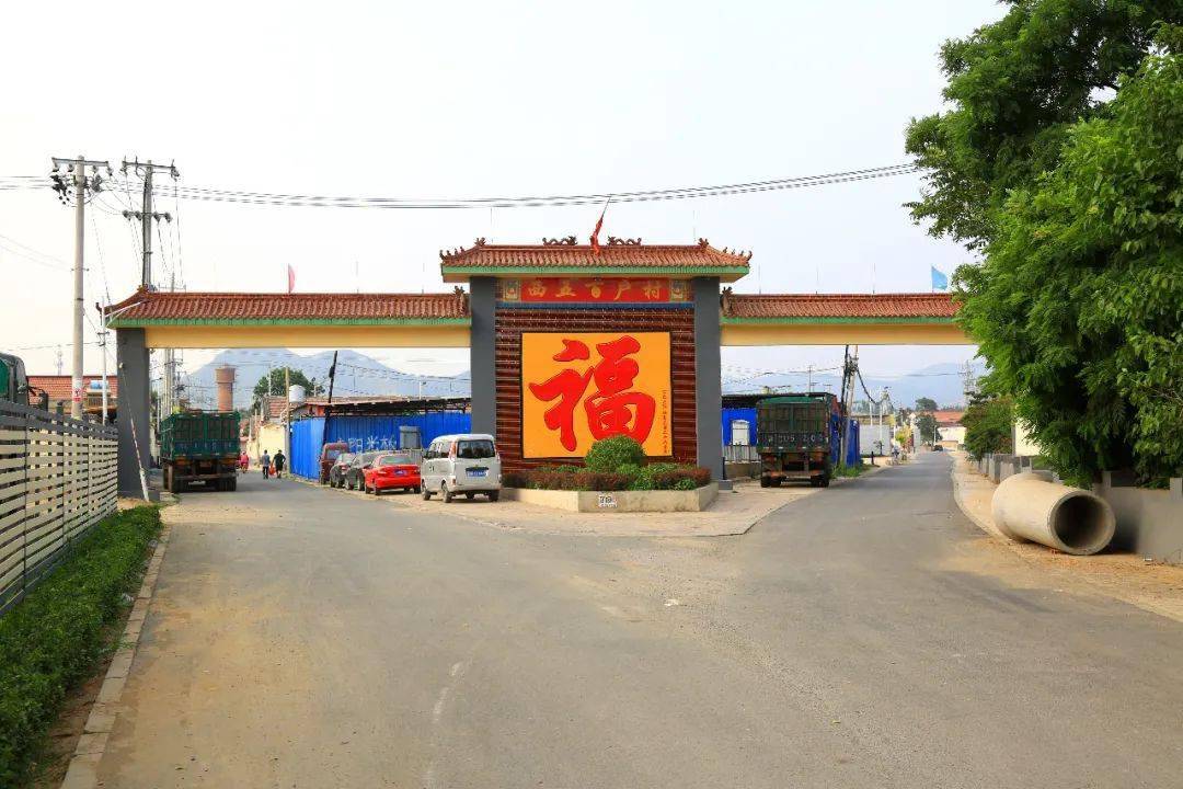 西五百户村书记高印海为村里200亩山桃代言