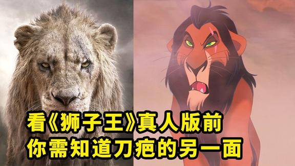 狮子王刀化妆图片