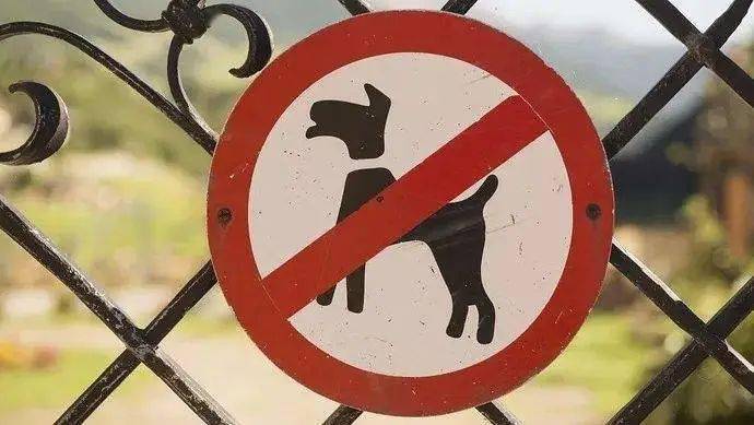 注意!吴川江心岛等公园或将禁止遛狗,违者或被罚50-200元