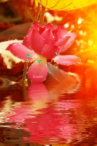 看完心服口服!_面子